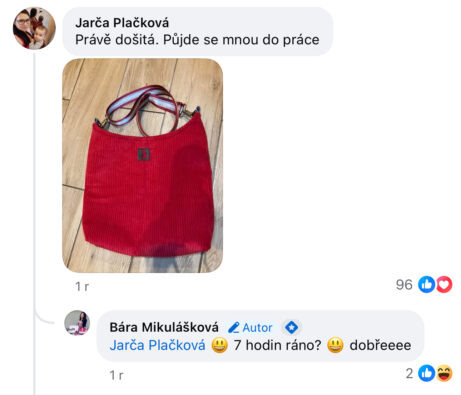 reference spokojených švadlenek - kurz zdarma Bára Mikulášková